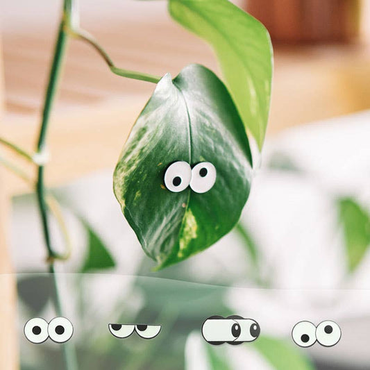 Glow Eyes 4-pack - Plant Magnet