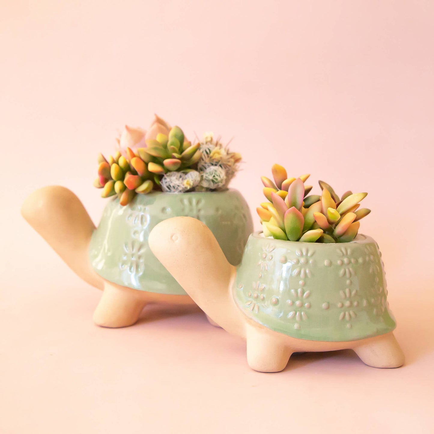 Turtle Planter | Lagoon: M