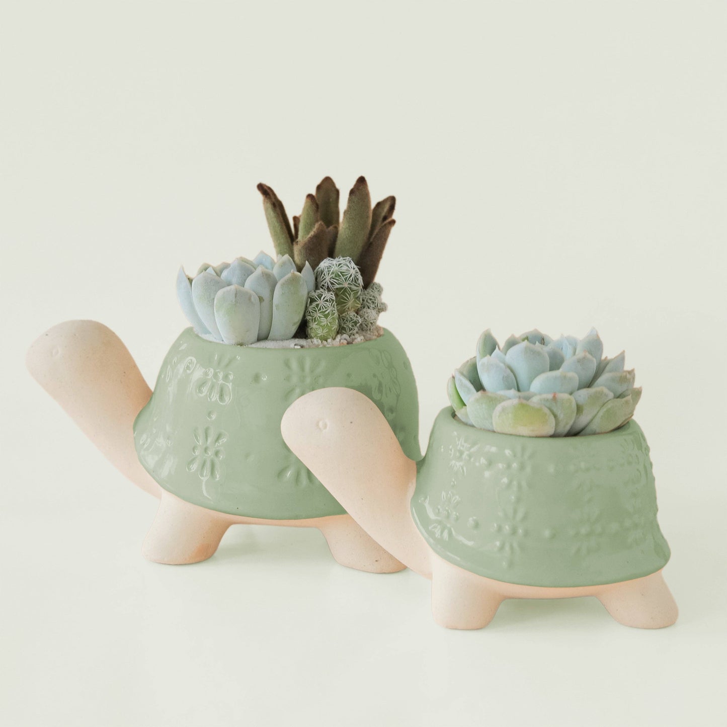 Turtle Planter | Lagoon: M