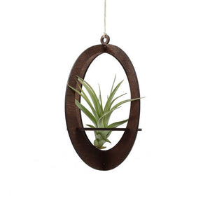 oval air plant hanger w/ airplant