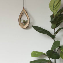 Load image into Gallery viewer, Teardrop Air Plant Hanger w/ Air Plant
