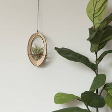 Load image into Gallery viewer, Walnut Oval Air Plant Hanger w/ Air Plant
