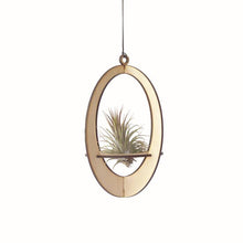 Load image into Gallery viewer, oval air plant hanger w/ airplant
