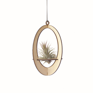 Air Plant Hanger Oval- Maple