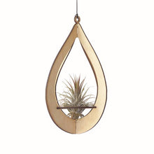 Load image into Gallery viewer, Teardrop Air Plant Hanger w/ Air Plant
