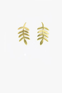 Modern Flora Posts