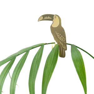 Plant Animal Decoration - Toucan
