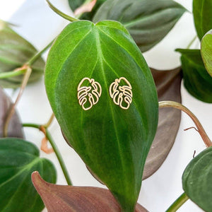 Hollow Leaf Stud: Yellow Gold