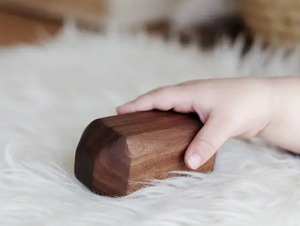 Walnut Rattle