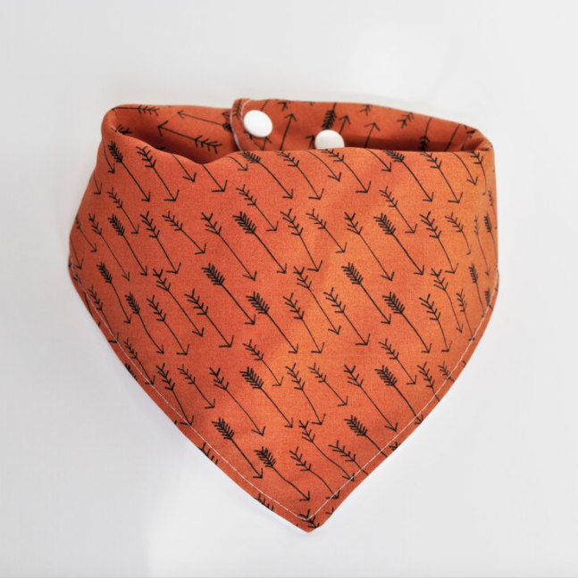 Bandana Bib